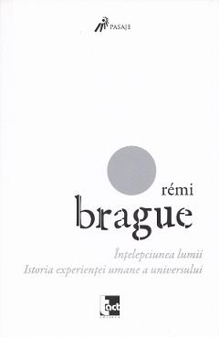 Intelepciunea lumii. Istoria experientei umane a universului - Remi Brague