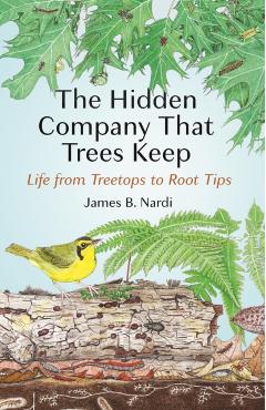 The Hidden Company That Trees Keep: Life from Treetops to Root Tips - James B. Nardi