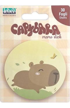 Aceasta este imaginea corespunzatoare acestui obiect