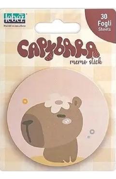 Aceasta este imaginea corespunzatoare acestui obiect