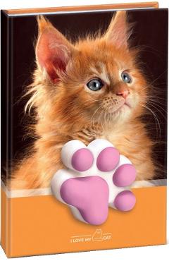Agenda pisicuta cu squishy. Coperta portocalie