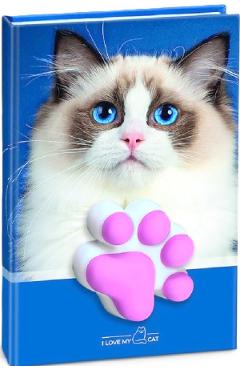 Agenda pisicuta cu squishy. Coperta bleumarin