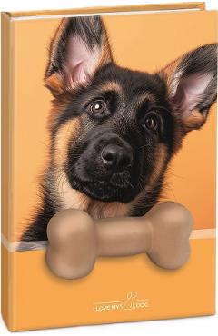 Agenda catel cu squishy. Coperta portocalie