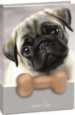 Agenda catel cu squishy. Coperta gri