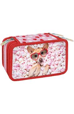 Aceasta este imaginea corespunzatoare acestui obiect