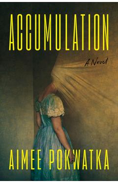 Accumulation - Aimee Pokwatka - Imagine 1
