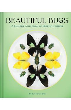 Beautiful Bugs: A Curious Collection of Exquisite Insects -