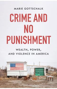 Crime and No Punishment: Wealth, Power, and Violence in America - Marie Gottschalk
