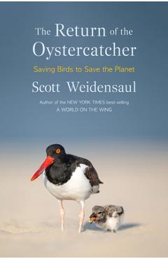 The Return of the Oystercatcher: Saving Birds to Save the Planet - Scott Weidensaul