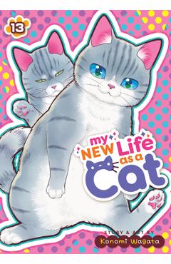 My New Life as a Cat Vol. 13 - Konomi Wagata