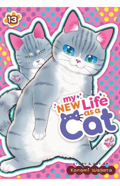 My New Life as a Cat Vol. 13 - Konomi Wagata