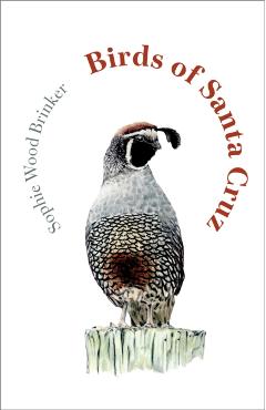 Birds of Santa Cruz - Sophie Wood Brinker
