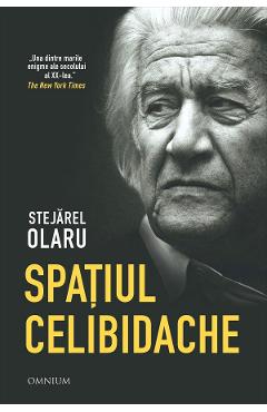 Spatiul Celibidache - Stejarel Olaru - OMNIUM
