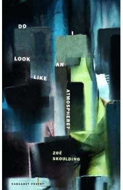 Do I Look Like an Atmosphere? - Zoe Skoulding