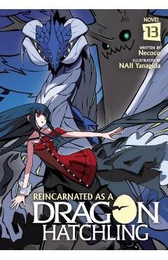 Reincarnated as a Dragon Hatchling (Light Novel) Vol. 13 -