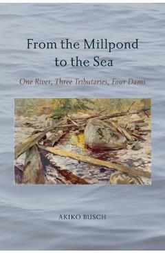 From the Millpond to the Sea: One River, Three Tributaries, Four Dams - Akiko Busch