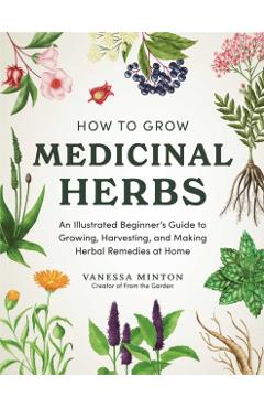 How to Grow Medicinal Herbs: An Illustrated Beginner's Guide to Growing, Harvesting, and Making Herbal Remedies at Home - Vanessa Minton