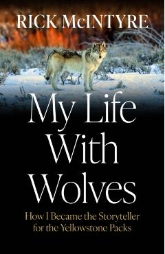 My Life with Wolves: How I Became the Storyteller for the Yellowstone Packs - Rick Mcintyre