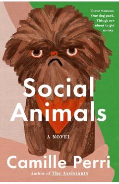 Social Animals - Camille Perri