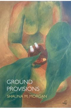 Ground Provisions - Shauna M. Morgan - Imagine 1