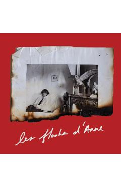 Anne Day: Les Flashes d'Anne: Friendship Among the Ashes with Hervé Guibert