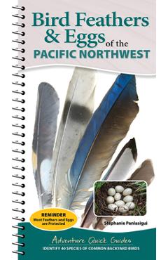 Bird Feathers & Eggs of the Pacific Northwest: Identify 40 Species of Common Backyard Birds