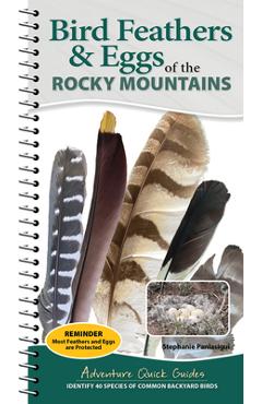 Bird Feathers & Eggs of the Rocky Mountains: Identify 40 Species of Common Backyard Birds