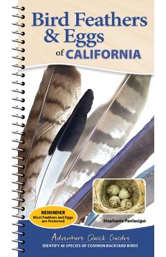 Bird Feathers & Eggs of California: Identify 40 Species of Common Backyard Birds