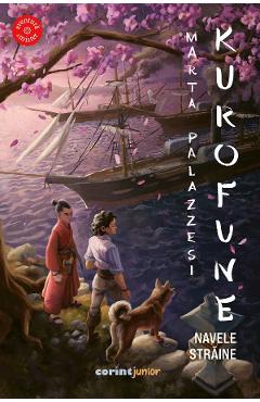 Aceasta este imaginea corespunzatoare acestui obiect