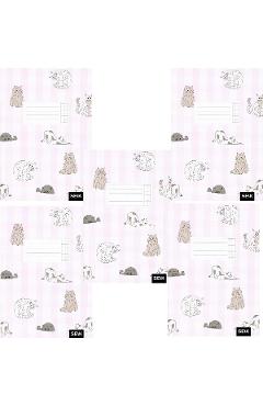 Set 5 caiete matematica 12 file. Pisici