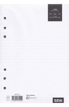 Pagini liniate pentru planificator