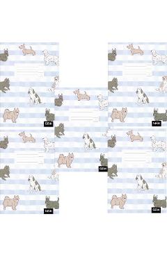 Set 5 caiete dictando 12 file. Catei