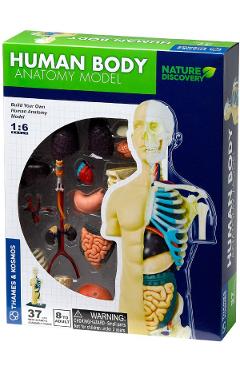 Set educativ STEM: Anatomia corpului