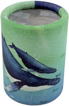 Aceasta este imaginea corespunzatoare acestui obiect