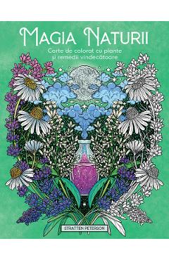 Aceasta este imaginea corespunzatoare acestui obiect