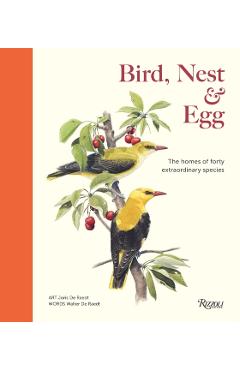 Bird, Nest & Egg - Walter De|raedt Raedt