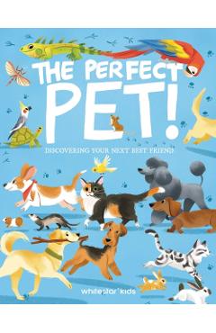 Perfect Pet! - Rachel|villa Foo