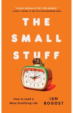 The Small Stuff: How to Lead a More Gratifying Life - Ian Bogost