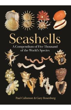 Seashells: A Compendium of Five Thousand of the World's Species - Paul Callomon