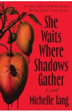 She Waits Where Shadows Gather - Michelle Tang
