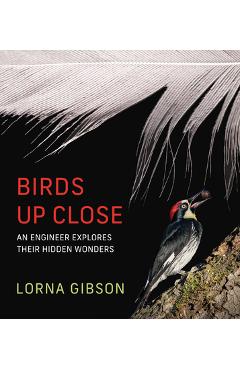 Birds Up Close: An Engineer Explores Their Hidden Wonders - Lorna Gibson