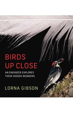 Birds Up Close: An Engineer Explores Their Hidden Wonders - Lorna Gibson
