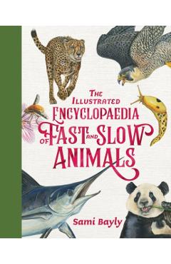 The Illustrated Encyclopaedia of Fast and Slow Animals - Sami Bayly