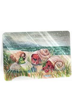 Felicitare: Rainy Day