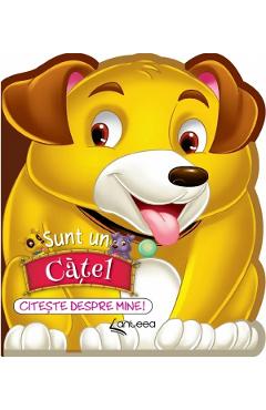 Sunt un catel. Citeste despre mine! - Lucia Cocisiu