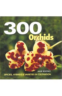 300 Orchids: Species, Hybrids and Varieties in Cultivation - Jane Boosey