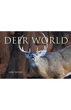 Deer World - Dave Taylor