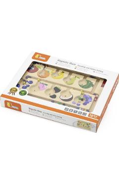 Labirint magnetic: Numara si recunoaste culoarea