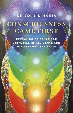 Consciousness Came First - Edi Bilimoria - Imagine 1
