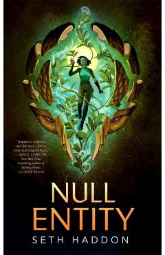 Null Entity - Seth Haddon